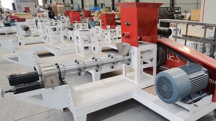 Tilapia fish feed extruders motor-type in Canada